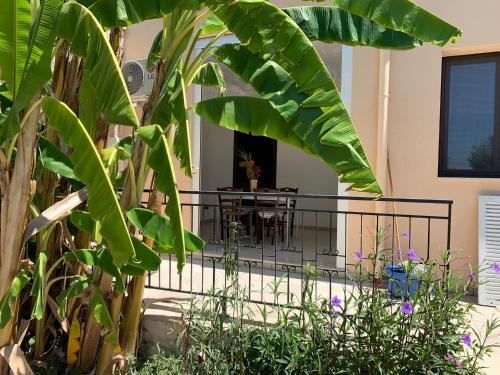 a balcony with a table and some green plants at CASE VACANZA ZOE - LUNA in Serrano