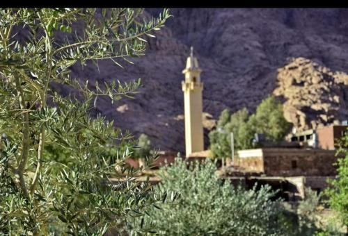 a building with a tower in front of a mountain at Abu Salem Garden- كرم ابو سالم in Saint Catherine