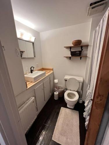 a small bathroom with a toilet and a sink at Moscow Comfort Apartment in Moscow