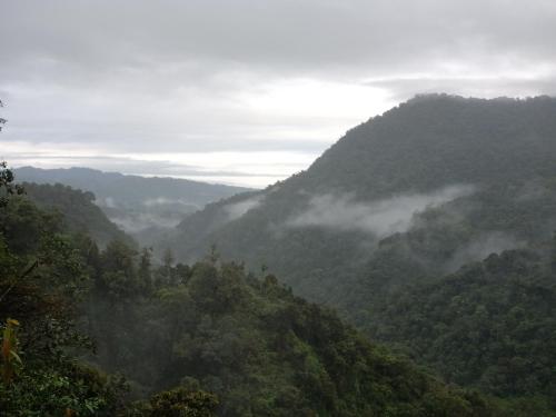 a misty valley in the mountains with trees at Biohostal Mindo Cloud Forest in Mindo