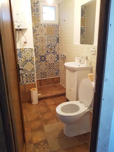 a bathroom with a white toilet and a shower at Casa CeDar in Lupeni