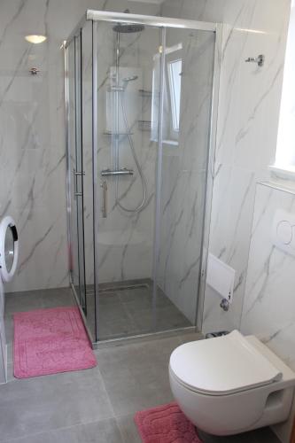 a bathroom with a shower with a toilet and a sink at Apartment Mihael in Cavtat