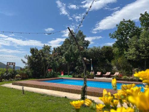 - une piscine dans une cour ornée de fleurs jaunes dans l'établissement Casa De Crescenzo con piscina, à Bellona