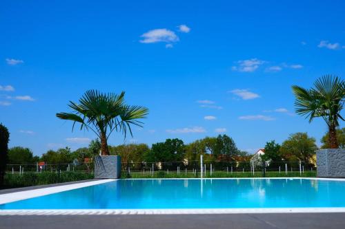 a blue swimming pool with palm trees in the background at Pool Sauna Entspannung in Rangsdorf