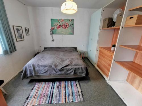 a bedroom with a bed and a rug at Wellness zur Alleinnutzung mit Ferienwohnung und Fitnessbereich - fitSPA in Sulz am Neckar