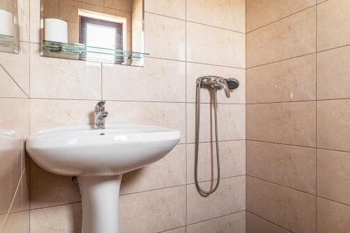 a bathroom with a sink and a shower at Vila Venus in Sînmartin