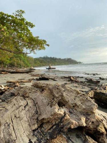 Villa Tucan – Photos 4