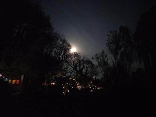 a street light with trees and lights at night at Tan y coed's Rosemary Cabin in Conwy