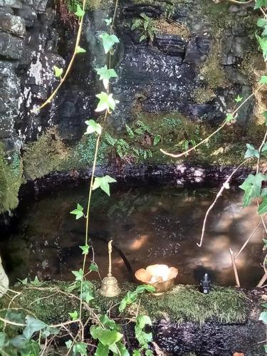 a small pond in a garden with a pot of water at Tan y coed's Rosemary Cabin in Conwy