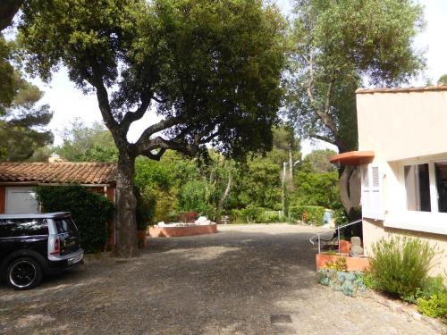 Κήπος έξω από το Athéna MOTEL