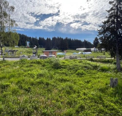 a field of green grass with trees and a road at Chamrousse Appart 8 personnes au pied des pistes in Chamrousse