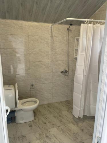 a bathroom with a toilet and a shower at Twins Hotel in Gonio