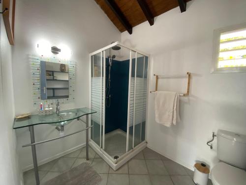 a bathroom with a glass shower and a sink at La Baie du Bonheur in Deshaies