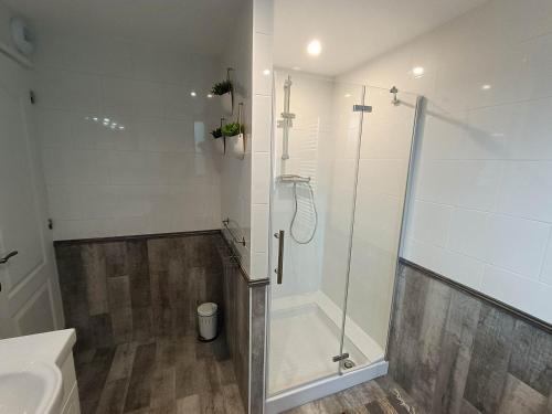 a bathroom with a shower and a toilet and a sink at Le Moulin de Benneville chambres d'hôtes, petit déjeuner compris in Cahagnes
