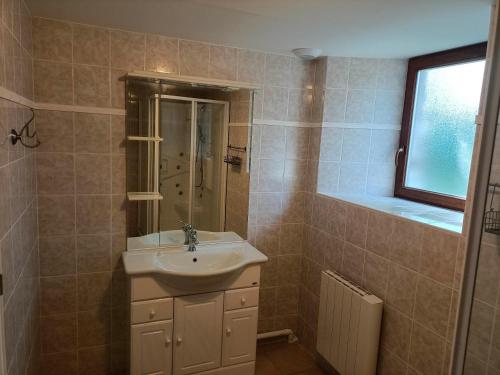 a bathroom with a sink and a shower at Le Moulin de Benneville chambres d'hôtes, petit déjeuner compris in Cahagnes
