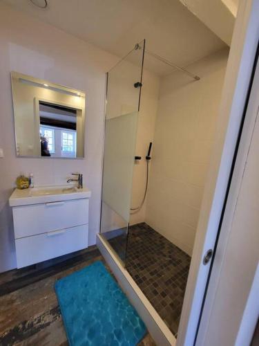 une salle de bain avec douche et lavabo dans l'établissement La Perle du Port, à Vannes