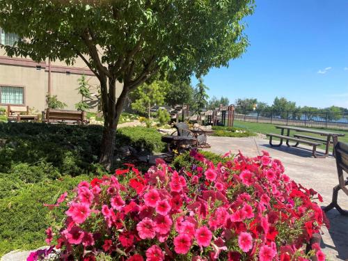 a bunch of pink flowers in a park with benches at Staybridge Suites Great Falls by IHG in Great Falls