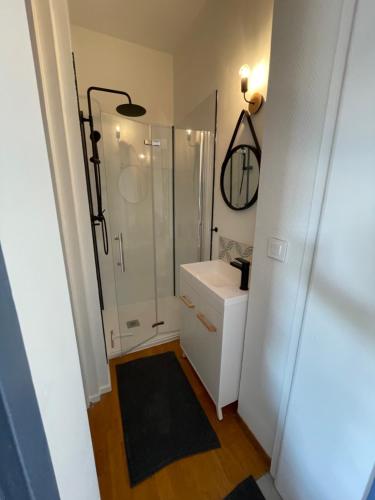 a bathroom with a shower and a white sink at Villa Artiz in Dunkerque