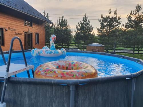 uma grande piscina com duas bolas insufláveis em Pearl of Bukovina em Lipovany