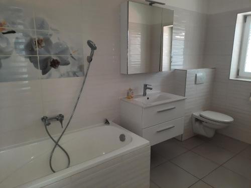 een badkamer met een douche, een toilet en een wastafel bij Villa Alex in Siófok