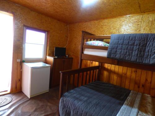 a bedroom with a bunk bed and a refrigerator at Приватна Садиба "У Оксани" in Pulʼmo