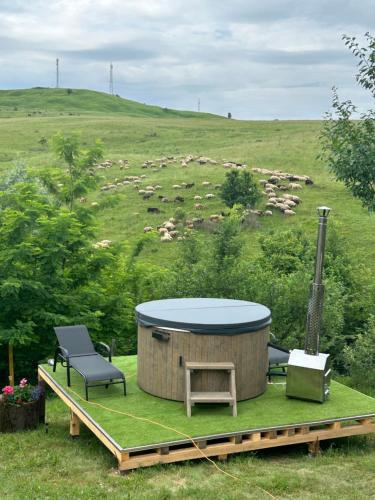a hot tub with a table and chairs on a field at Casa Eden Fit in Făget
