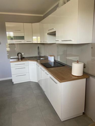 Dapur atau dapur kecil di Energylandia Zator noclegi apartament pokoje do wynajęcia