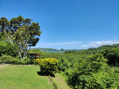 a bench sitting on top of a lush green field at La Puesta del Sol B&B in Carrillo
