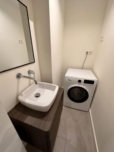 een badkamer met een wastafel en een wasmachine bij Segovia in Madrid