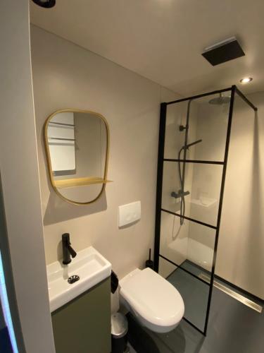 a bathroom with a toilet and a sink and a mirror at Natuurhuisjes Lust en Last in Sommelsdijk