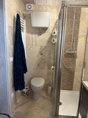 a small bathroom with a toilet and a shower at Casa DANIEL in Castel di Sangro