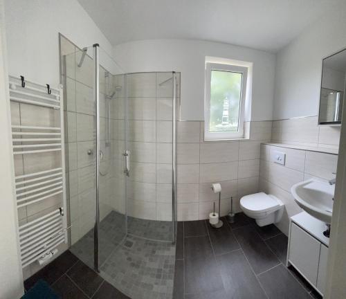 a bathroom with a shower and a toilet and a sink at Ferienwohnung Schmidt in Wernigerode