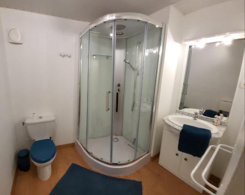 ein Bad mit einer Dusche, einem WC und einem Waschbecken in der Unterkunft Le Studio in Blénod-lès-Pont-à-Mousson