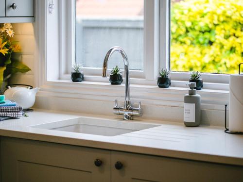 a kitchen sink in front of a window with potted plants at Polished Pebble in Beadnell