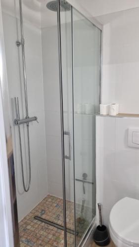 une douche avec une porte vitrée dans une salle de bain dans l'établissement Cap d'agde Bord de mer avec piscine, au Cap d'Agde