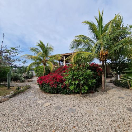 a house with palm trees and flowers in a yard at Nos Soño Stay and Dive in Westpunt