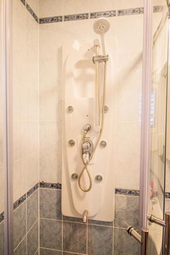 a shower in a bathroom with a glass door at Villa Petrac - App1 in Rab