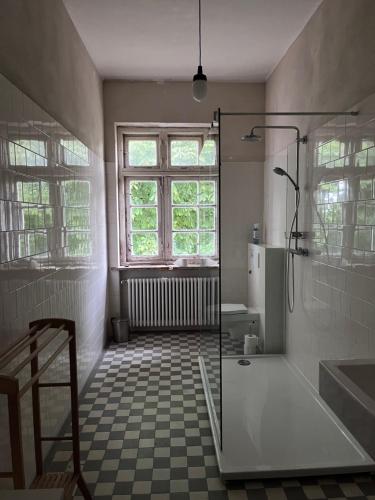 a bathroom with a shower and a sink and a window at Gut Manderow an der Ostsee in Hohenkirchen