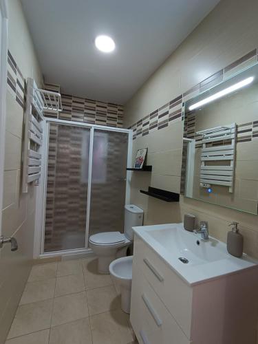 a bathroom with a toilet and a shower and a sink at Mimosa Home in Talavera de la Reina