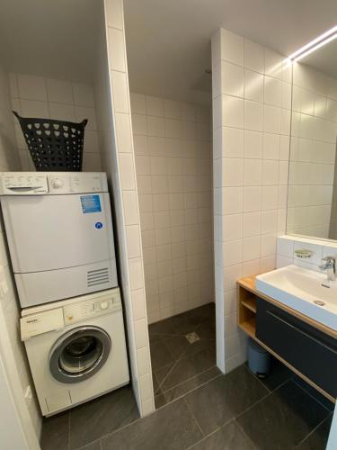 La salle de bains est pourvue d'un lave-linge et d'un lavabo. dans l'établissement Ferienwohnung Brunnkogelblick, à Neukirchen