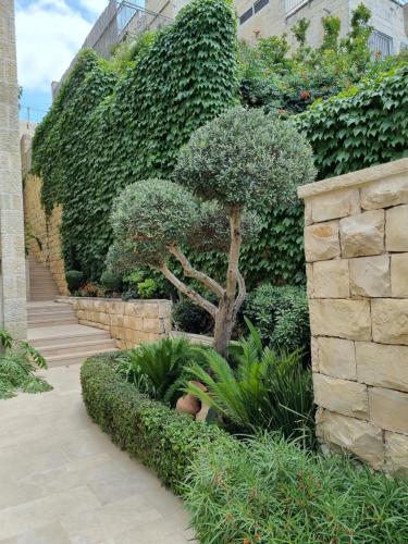 un jardín con arbustos y un árbol en un edificio en Cute Studio near Yad Vashem FREE street parking en Jerusalén