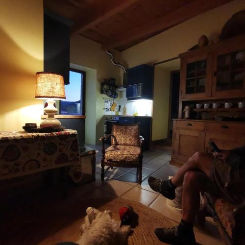a person sitting on a couch in a living room with a lamp at Mes Maisons Gardoises, Two Gites sleeping 13 with Two Private pools, Kids Room, Laundry, Disco, free WiFi, Linen and Dog's are Welcome in Gagnières