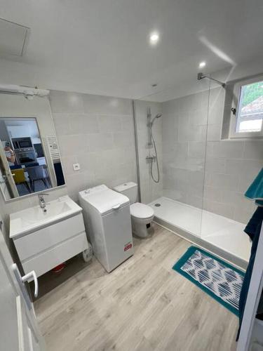 une salle de bain avec un lavabo, des toilettes et une douche dans l'établissement Appartement+Terrasse en Provence dans le Luberon, à Apt