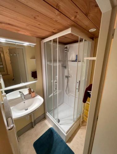 y baño con ducha y lavamanos. en Brimbelle en Saint-Maurice-sur-Moselle