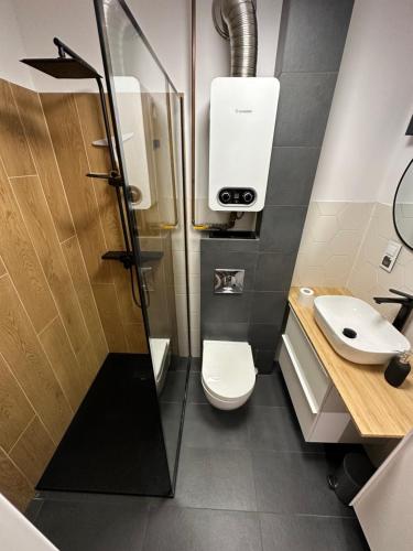 a bathroom with a toilet and a sink at Mały Kwadrat Katowice in Katowice
