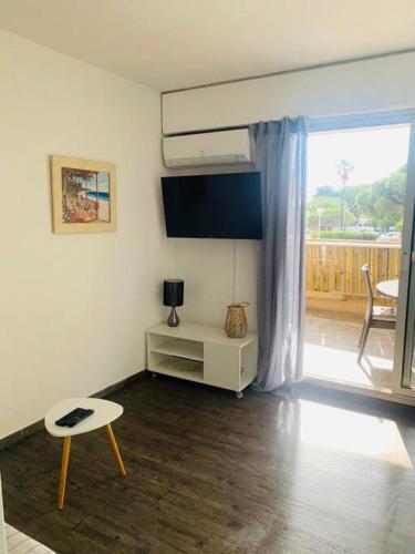 Televisyen dan/atau pusat hiburan di Studio Port Hyères Confort Terrasse/Parking privé