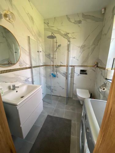 a bathroom with a sink and a toilet and a shower at Domek pod lipami in Dwikozy