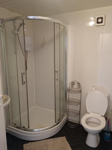 uma casa de banho com um chuveiro e um WC. em Guest House Private Room near Glasgow City Centre St George's Rd em Glasgow
