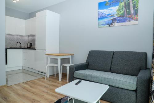 ein Wohnzimmer mit einem Sofa und einem Tisch in der Unterkunft Modern Apartments in center of Katowice in Kattowitz