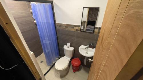 een kleine badkamer met een toilet en een wastafel bij Tiger Hostel in Medellín